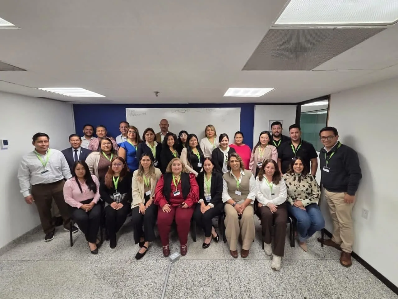 Capacitación profesional